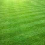 Quelles sont les difficultés rencontrées pour développer le tennis inclusif ?